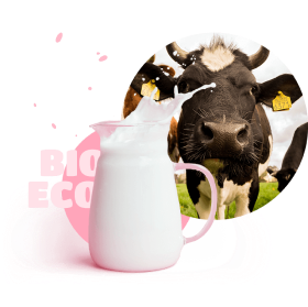 cow and milk